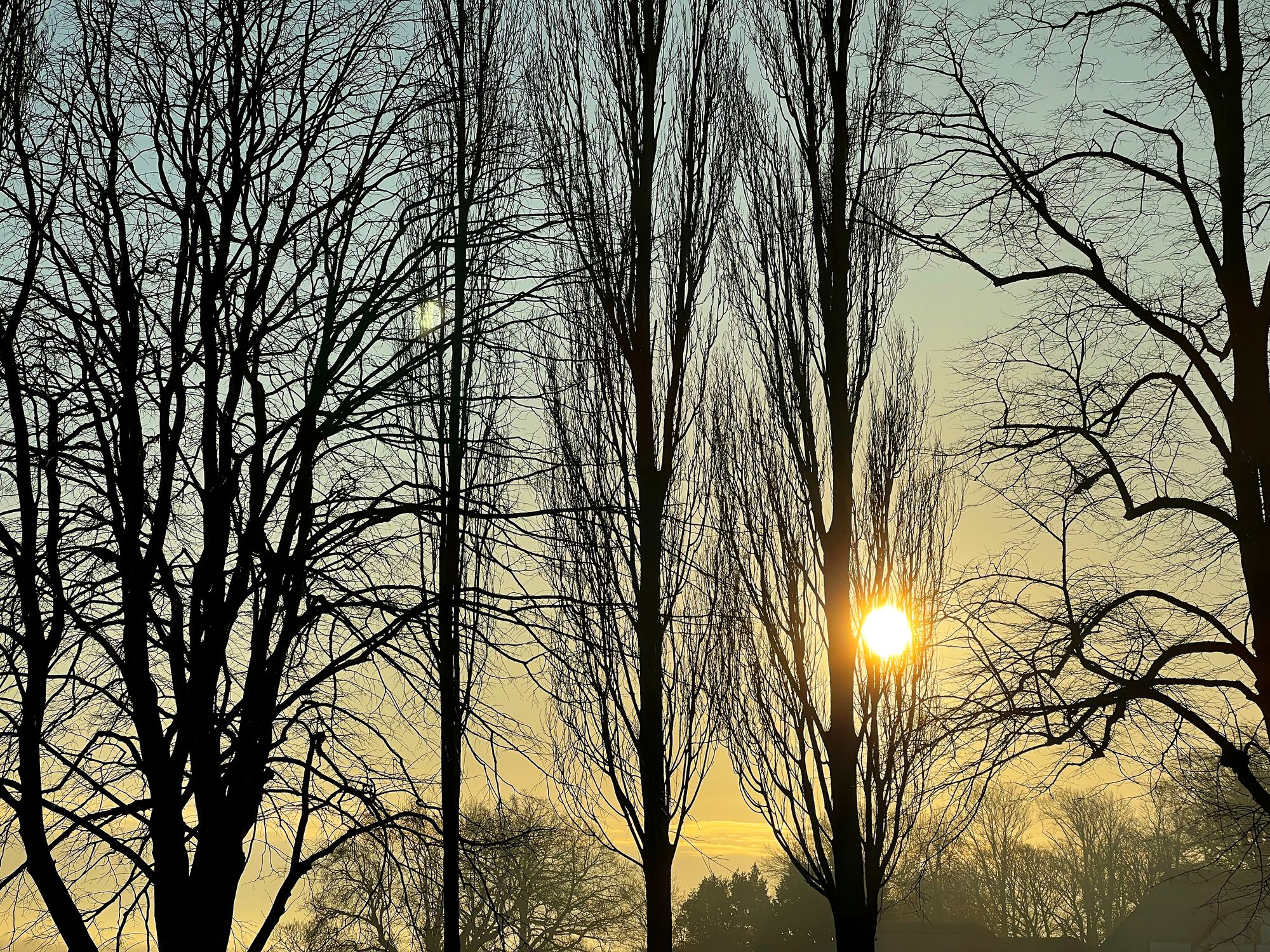 The sun rising behind trees at Lancing College in Sussex