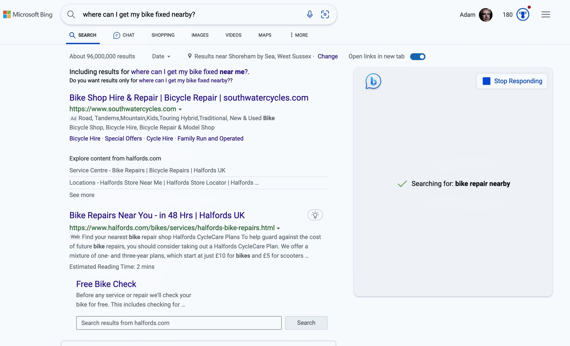 Bing search results, before the ChatGPT integration loads
