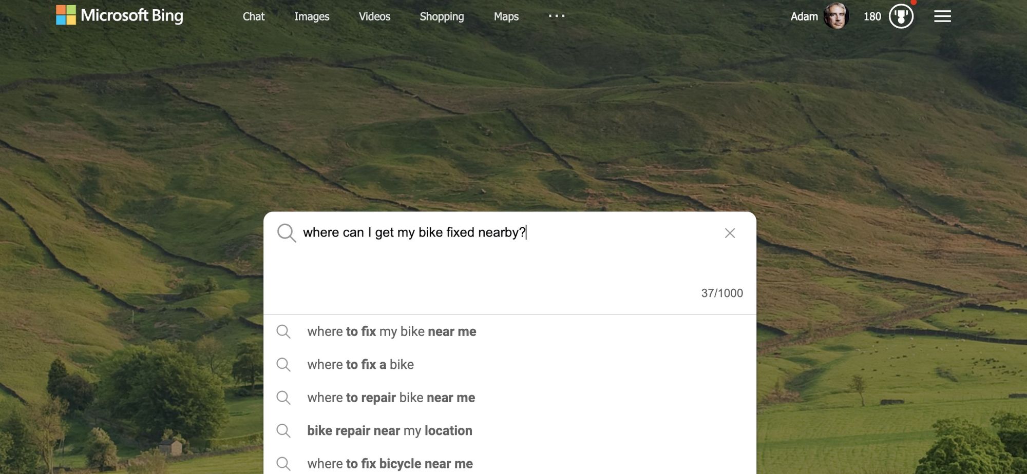 A Bing search for bicycle repairs