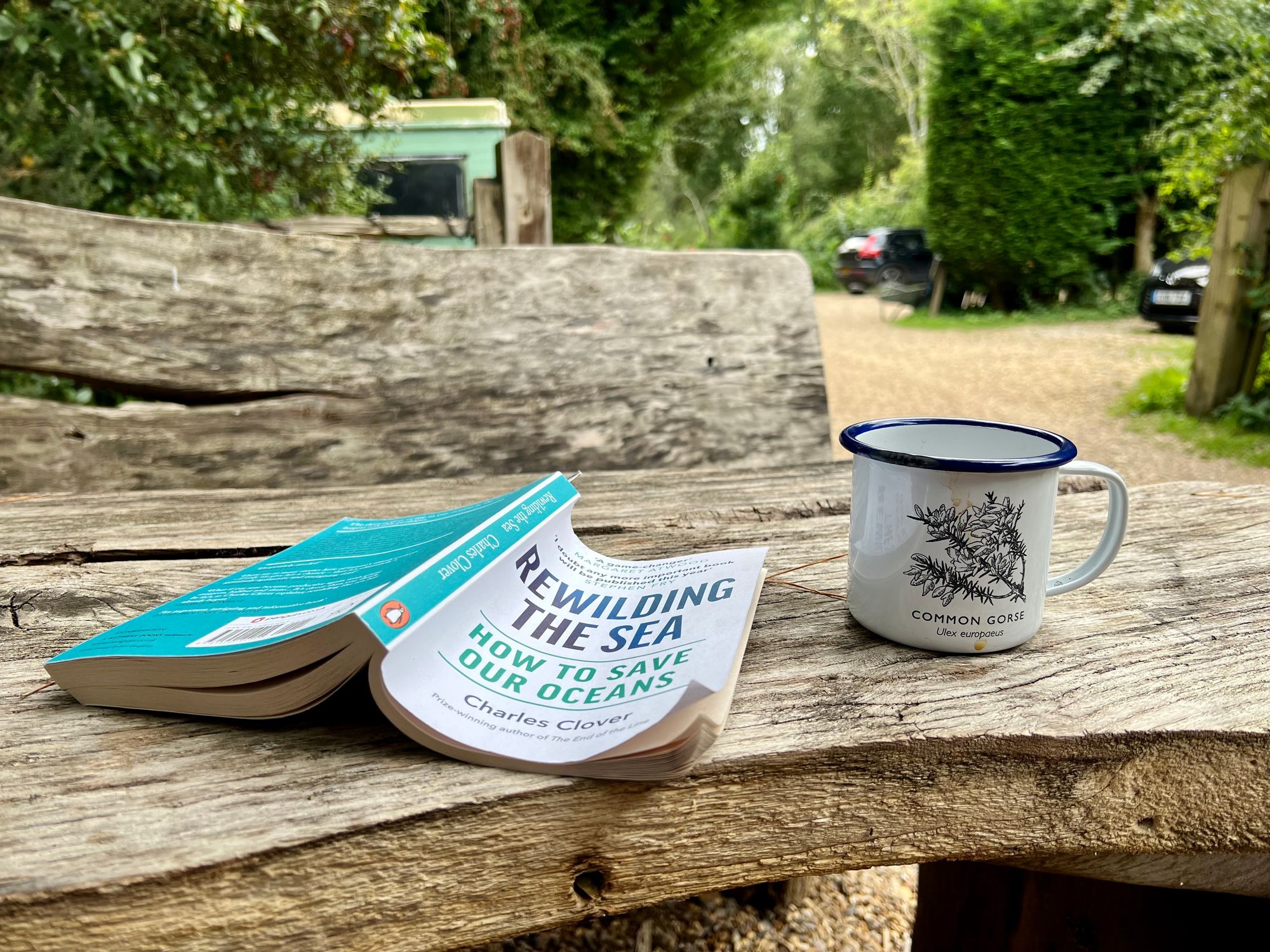 A book and an enamel mug on a campsite table. 