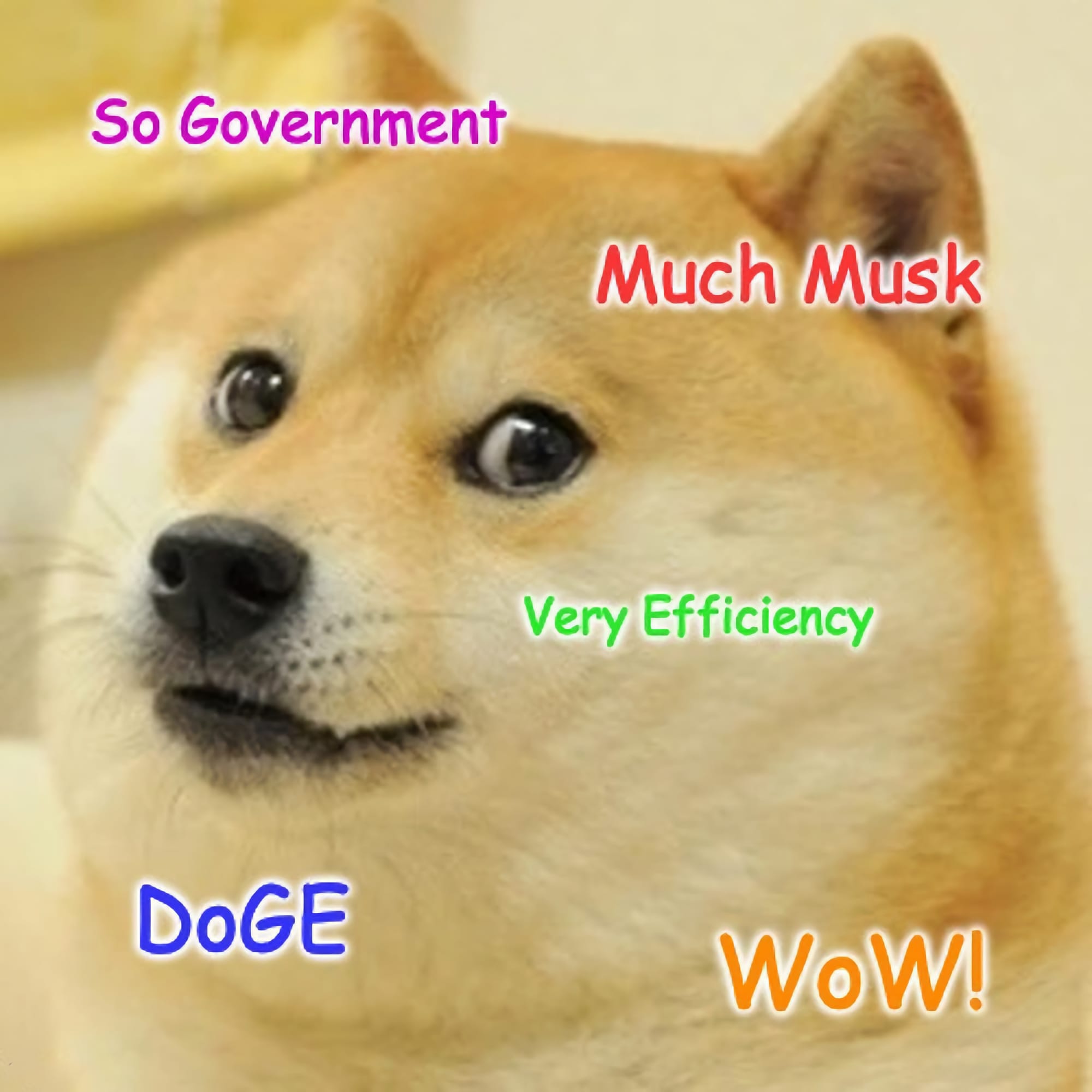 A version of the classic Doge meme around Musk's role in the second Trump administration 