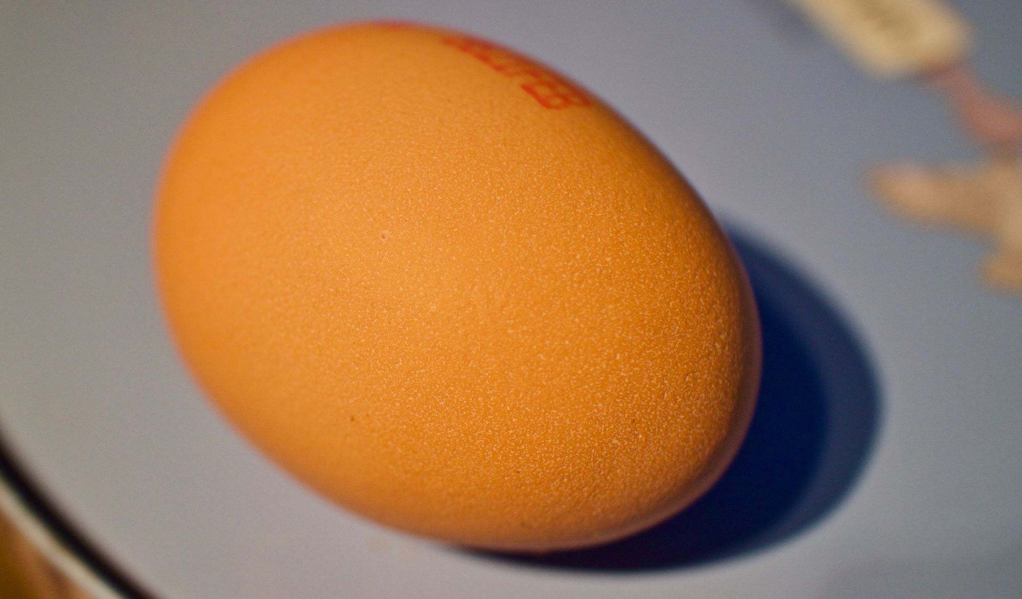 The World Record Egg: hacking attention for mental health?