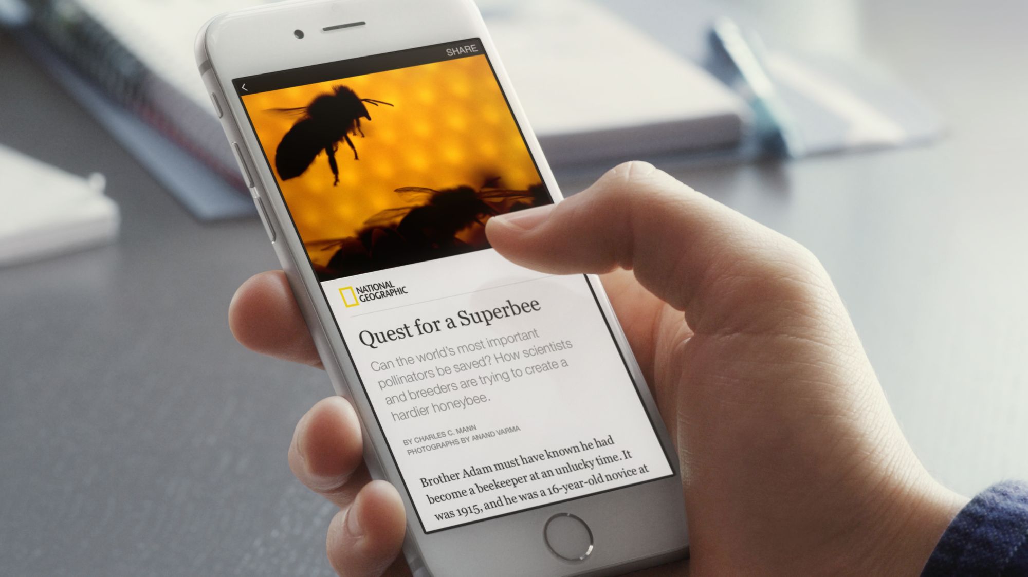 Facebook's Instant Articles - an instant opportunity (with a price)