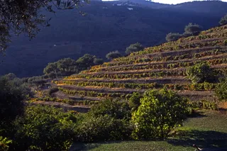 Press Trip, Port & The Past