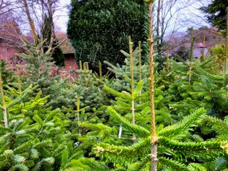 Essential evergreen content, the Substack revenue question and the future of student media: this week’s key links