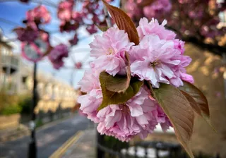 Scenes from a commute