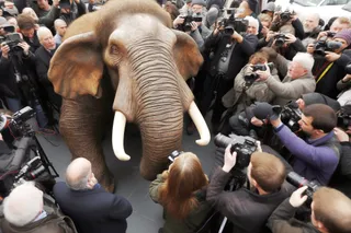 What’s your Mastodon strategy?