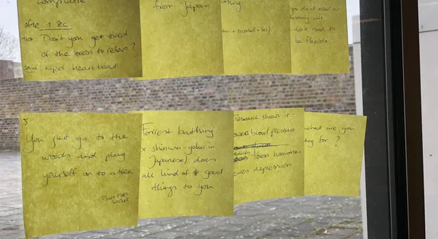 Social Video: further reading