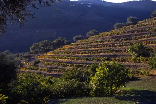 Press Trip, Port & The Past