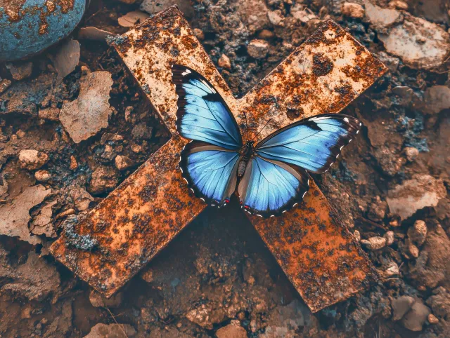 A Bluesky butterfly rises from a rusted X